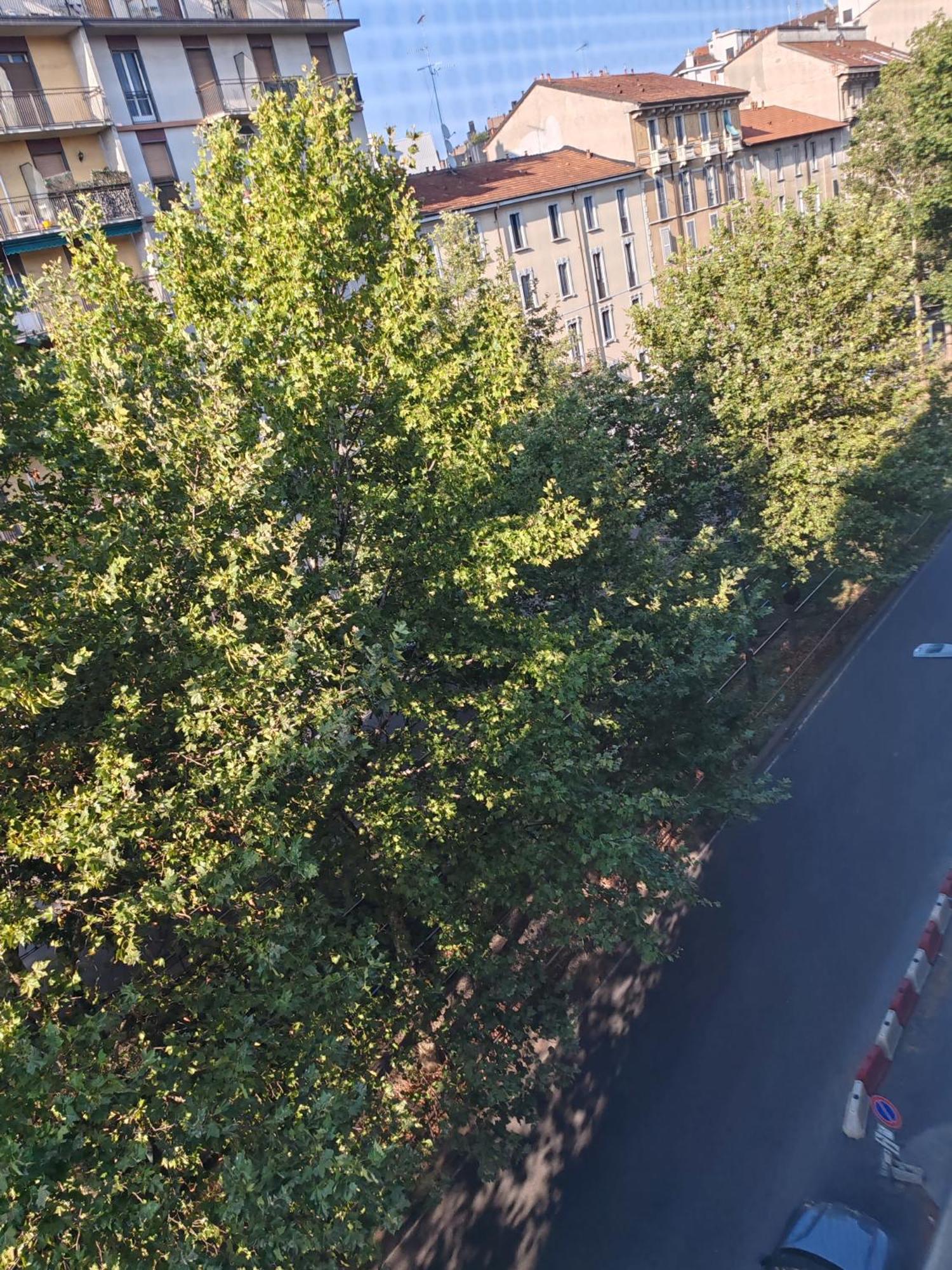 La Casa Di Cris - Milano, Appartamento Zona Sempione Eksteriør billede